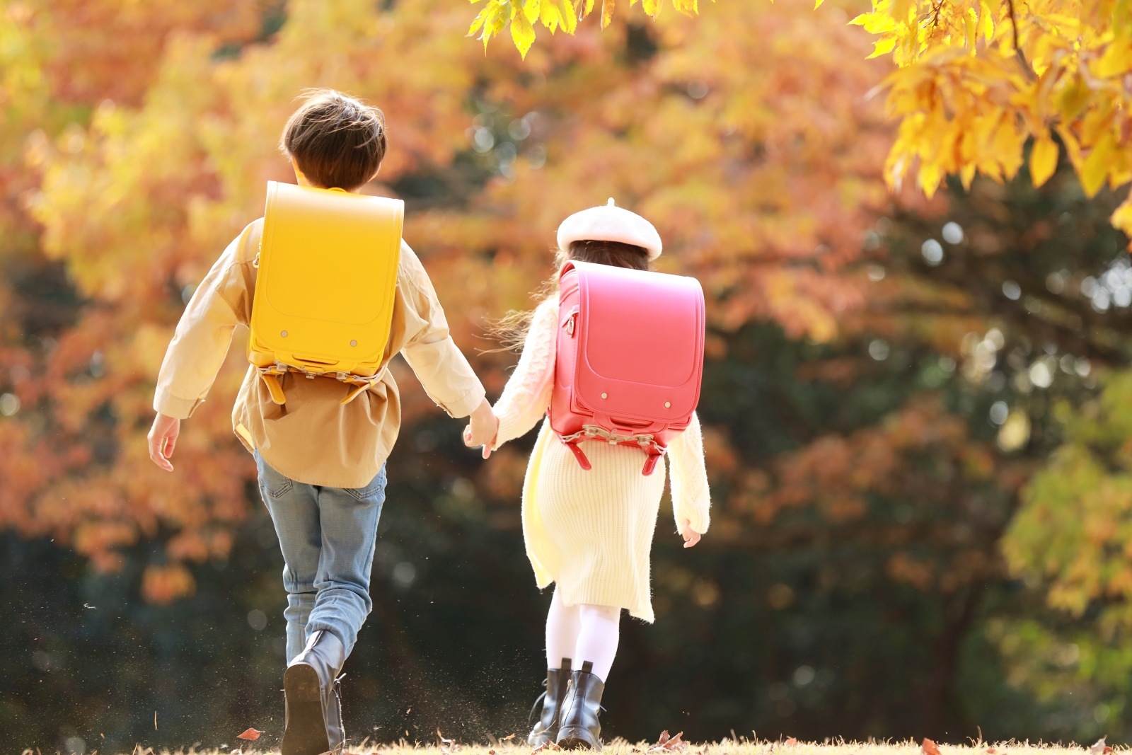 グランディール　イエロー