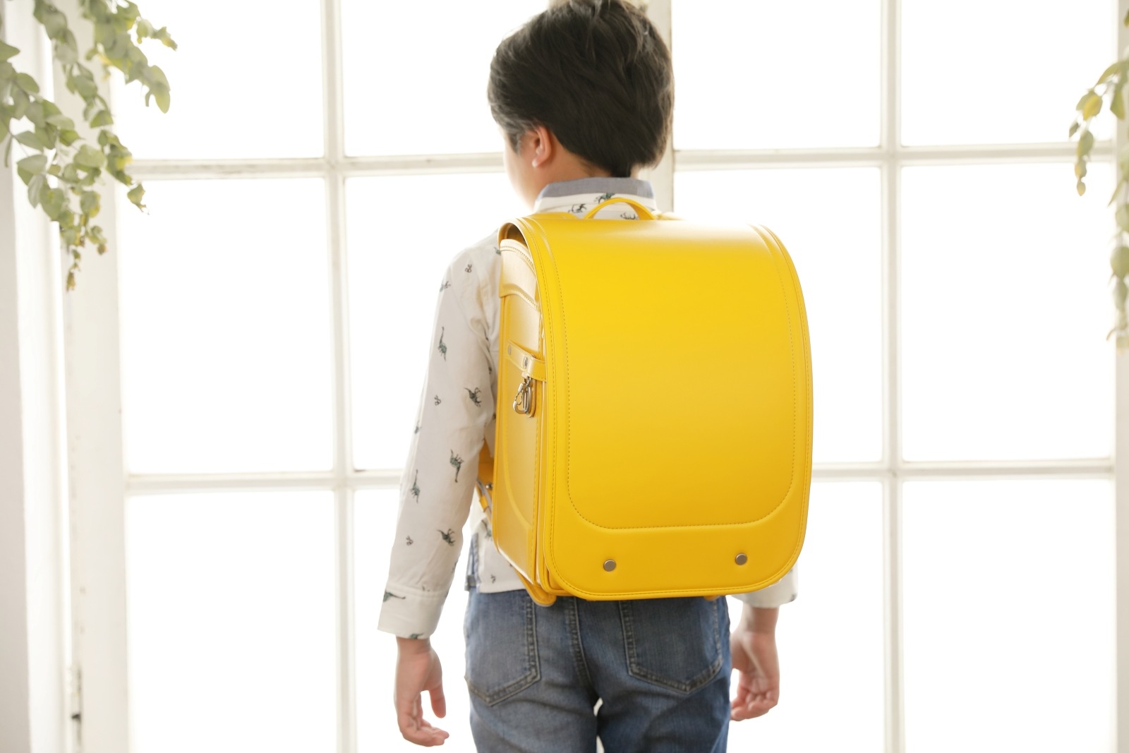 グランディール　イエロー