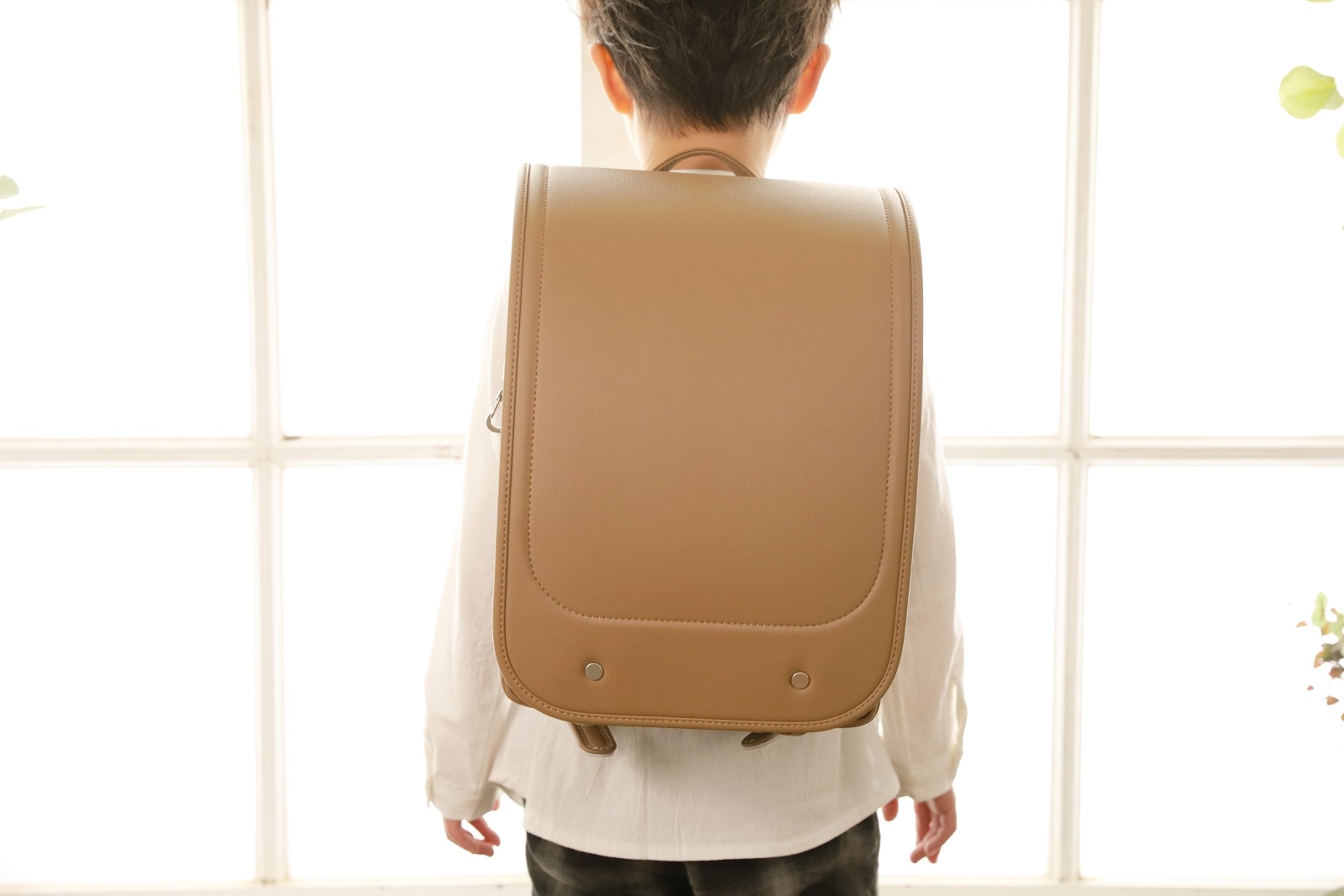 グランディール　ビスケット