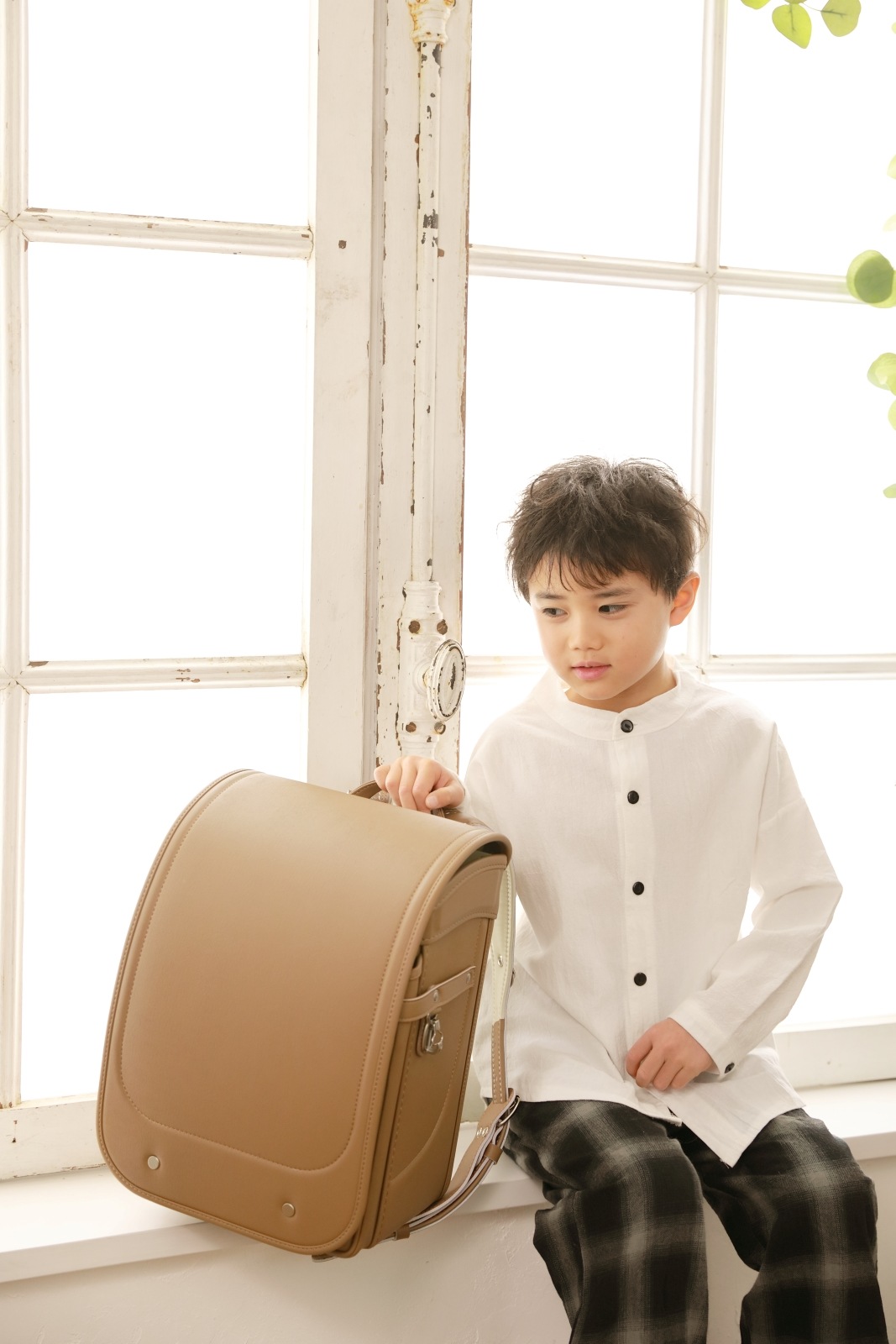 グランディール　ビスケット