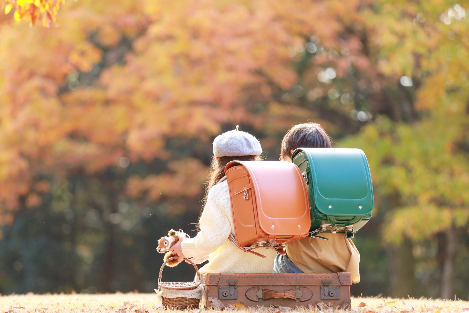 グランディール　フォレストグリーン