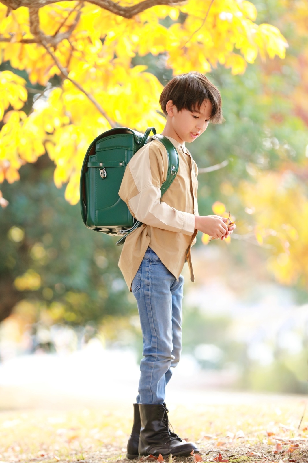 グランディール　フォレストグリーン