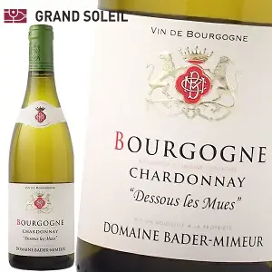 ブルゴーニュ シャルドネ デス レ ムエ 2022 白ワイン フランス ブルゴーニュ ギフト 法人ギフト プレゼント 贈答 賞品 のし対応 御祝 記念日 誕生日 結婚祝 開店祝 周年祝い コンペ賞品 お中元 お歳暮