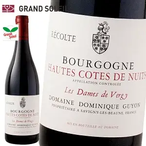 ブルゴーニュ オート コート ド ニュイ 2021 赤ワイン アントナン ギヨン フランス ブルゴーニュ ギフト 法人ギフト プレゼント 贈答 賞品 のし対応 御祝 記念日 誕生日 結婚祝 開店祝 周年祝い コンペ賞品 お中元 お歳暮