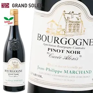 ブルゴーニュ ピノノワール キュヴェアレクシス 2022 赤ワイン ジャン フィリップ マルシャン フランス ブルゴーニュ ギフト 法人ギフト プレゼント 贈答 賞品 のし対応 御祝 記念日 誕生日 結婚祝 開店祝 周年祝い コンペ賞品 お中元 お歳暮