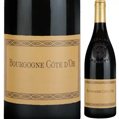 ジュヴレ シャンベルタン テール ブランシェ 2022 赤ワイン フィリップ シャルロパン パリゾ ピノノワール ビオワイン フランス ブルゴーニュ ギフト 法人ギフト プレゼント 贈答 賞品 のし対応 御祝 記念日 誕生日 結婚祝 開店祝 周年祝い コンペ賞品 お中元 お歳暮