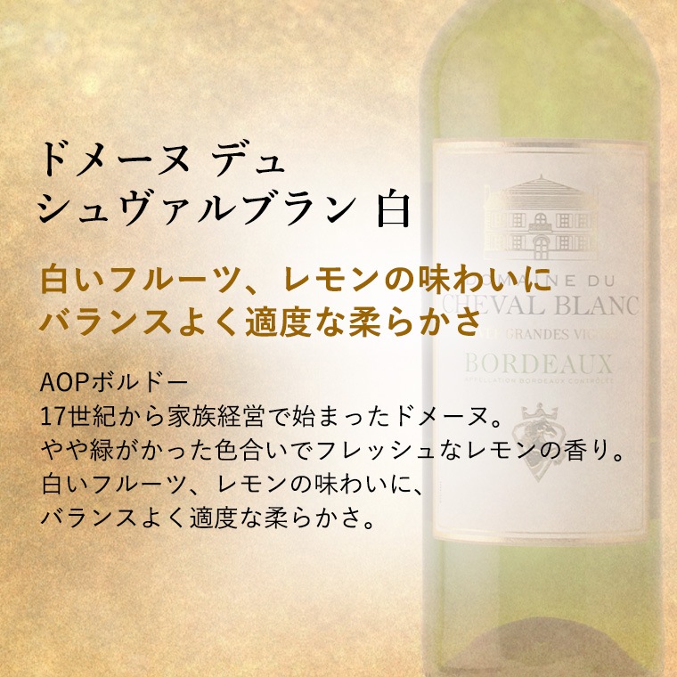 ギフト お中元 プレゼント 【送料無料】【ギフト包装】 超破格！！ 王道フランス ボルドーワイン 飲み比べ赤白2本セット