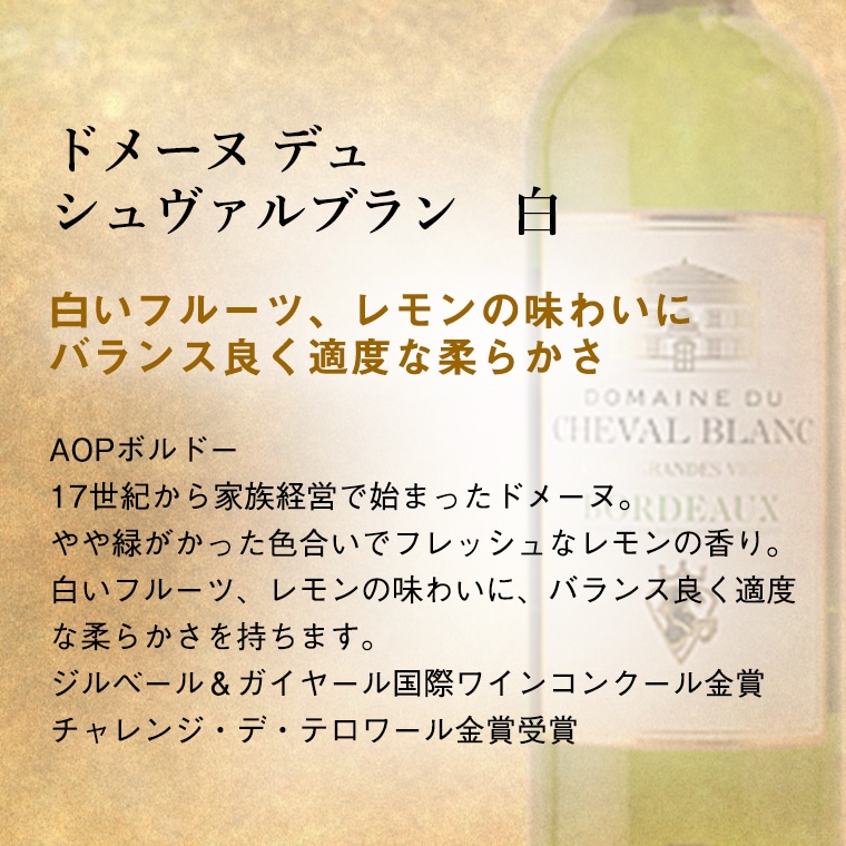 ギフト お中元 プレゼント 【送料無料】【ギフト包装】 超破格!! 王道フランス ボルドーワイン 飲み比べ赤白2本セット