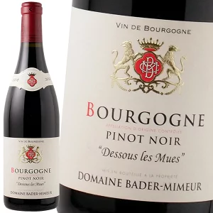 ブルゴーニュ ピノノワール デスレムエ 2021 赤ワイン フランス ブルゴーニュ ギフト 法人ギフト プレゼント 贈答 賞品 のし対応 御祝 記念日 誕生日 結婚祝 開店祝 周年祝い コンペ賞品 お中元 お歳暮