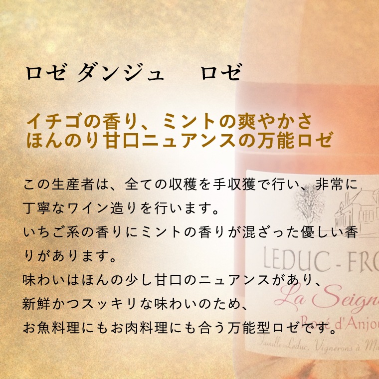 【送料無料】見た目にも可愛い フランス ロゼ ワイン 2本 セット
