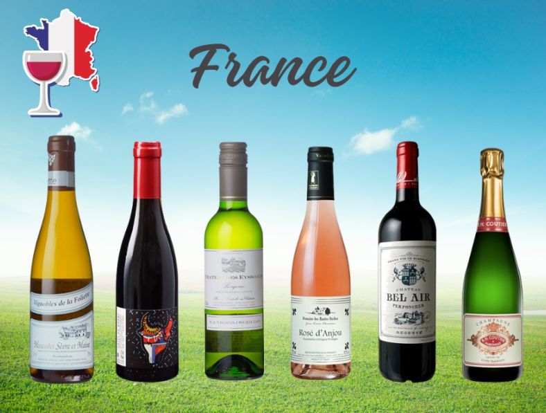 ワインで巡るフランス旅 ハーフボトル （375ml） 6本セット 2025