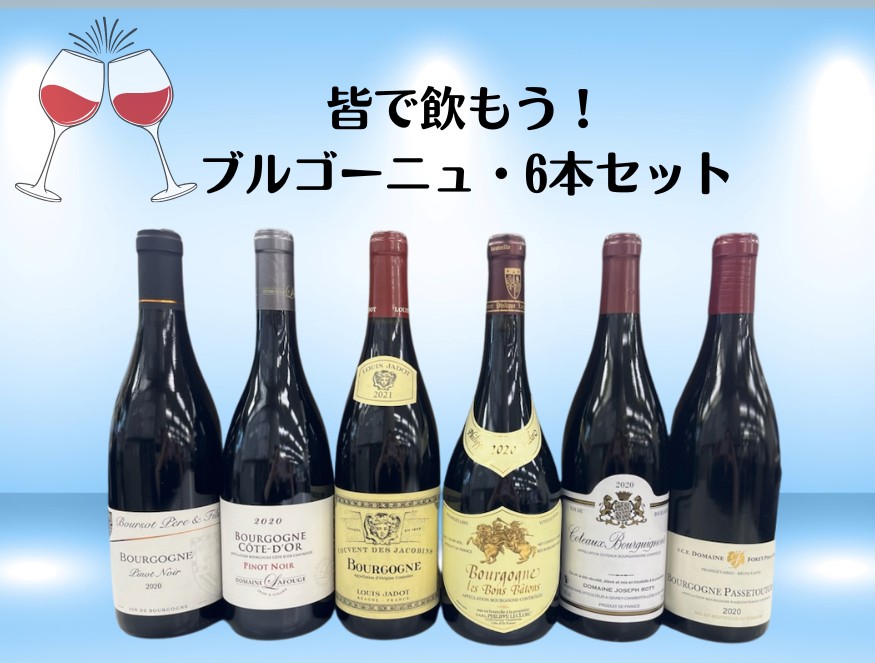 皆で飲もう! ブルゴーニュルージュ 6本セット