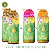 レイナチュラル ハニープラス シャンプー2本＆選べるトリートメント1本セット