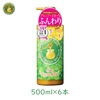 レイナチュラル ハニープラス エアリートリートメント 500ml 6個セット