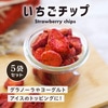 クノップ いちごチップス 20g 5袋セット
