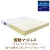 LIZUMO 感動マットレス セミダブルサイズ＜ソフト・レギュラー＞【メーカー直送】