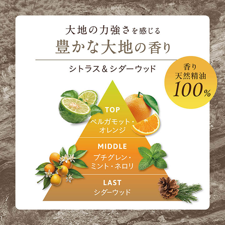 サラヤ ココパーム ランドエッセンス 選べるボトル1本&詰替1袋セット