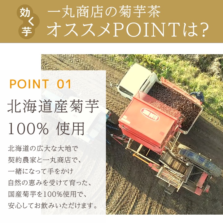 一丸商店 腸活KIKUIMO茶（2g×10包） 5袋セット 50杯分