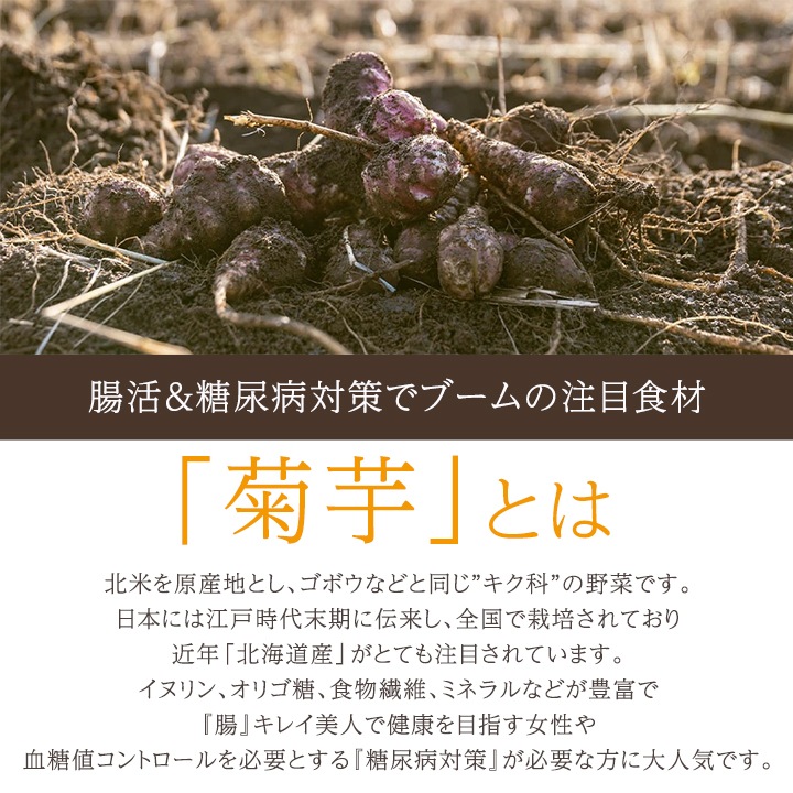 一丸商店 腸活KIKUIMO茶（2g×10包） 5袋セット 50杯分