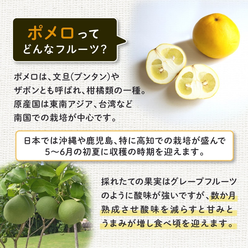 クノップ ポメロ 70g 3袋セット