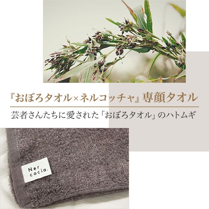 ネルコッチャ×おぼろタオル 専顔タオル 1枚