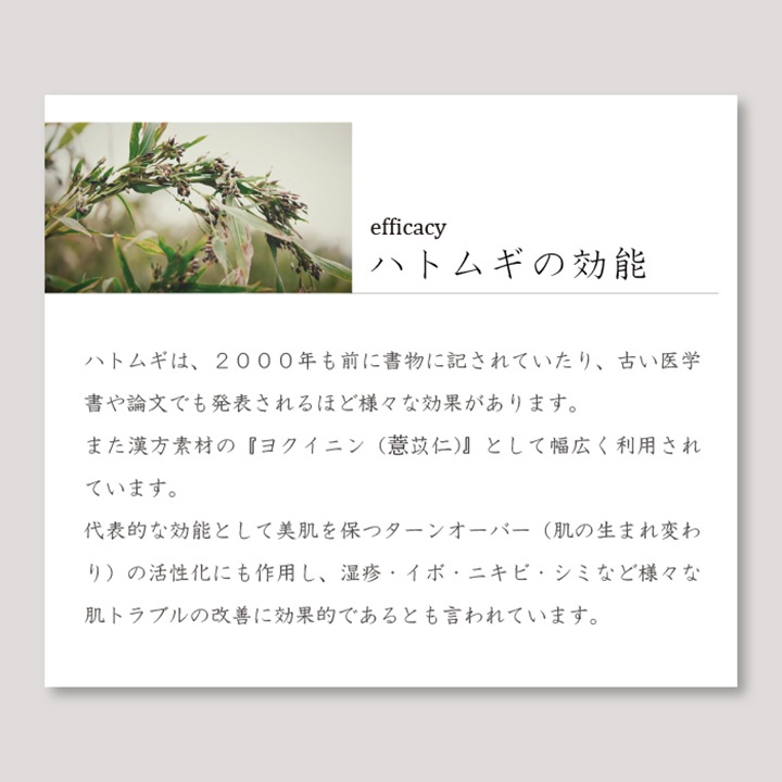 ネルコッチャ×おぼろタオル 専顔タオル 1枚