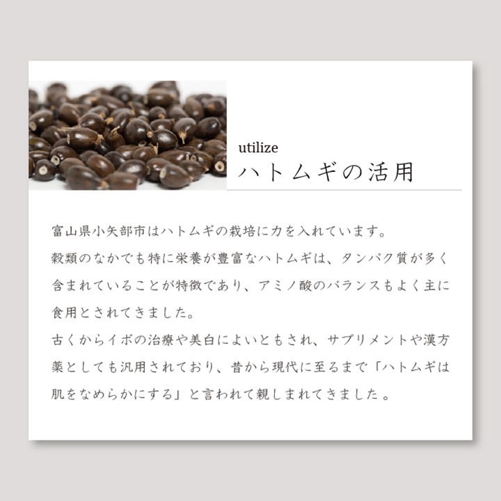 ネルコッチャ×おぼろタオル 専顔タオル 1枚