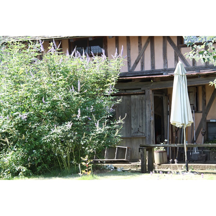 東谷 ガーデンパラソル【メーカー直送】