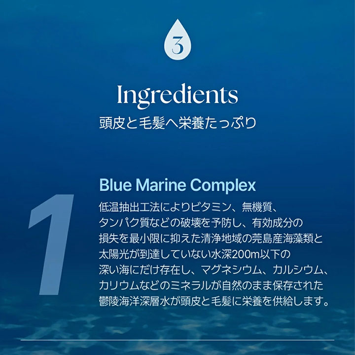 クンダル エアリーボリューム&ヒアルロン ブロッサムブリーズ トリートメント 500ml 1個 