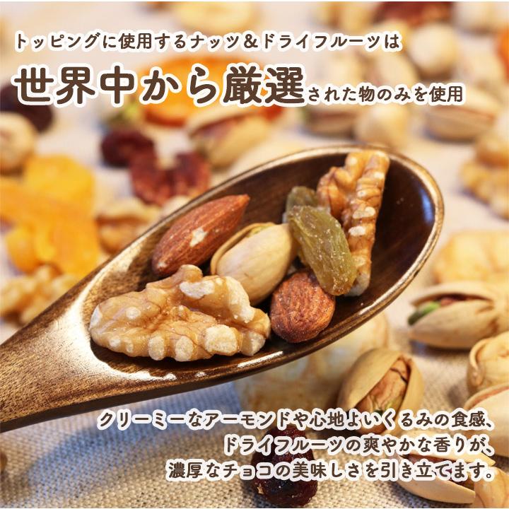 【季節限定】チョコレートバーク 小分け 5袋セット チョコバーク チョコレート バレンタイン ギフト プレゼント クノップ ナッツ ドライフルーツ フルーツチョコ 珍しい ユニーク おしゃれ