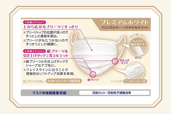 ビースタイル プリーツタイプ マスク 5枚入 10袋セット 