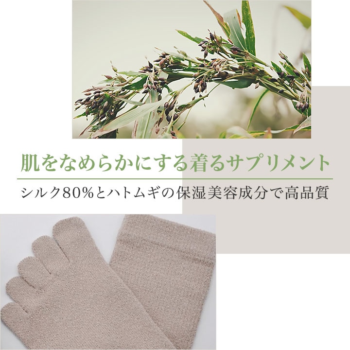 ネルコッチャ ギフトボックス ソックス 1足