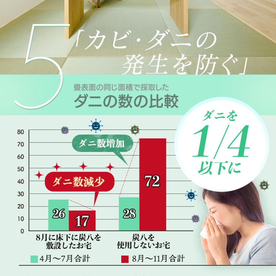 炭八 床下用×48袋セット(6ケース分) 【+2袋おまけ付き】