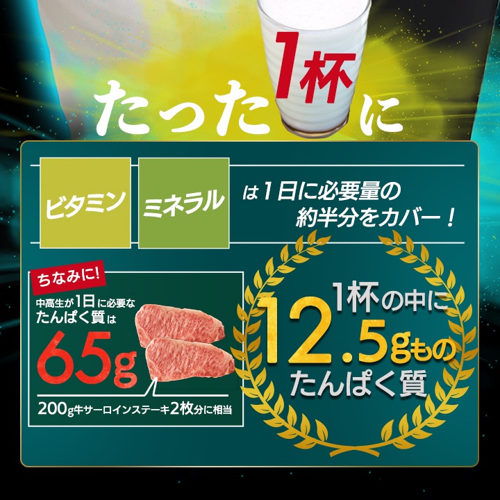 【2袋セット】野球部専用プロテイン スポドリレモン味 1kg×2袋【100食分】ジュニアプロテイン
