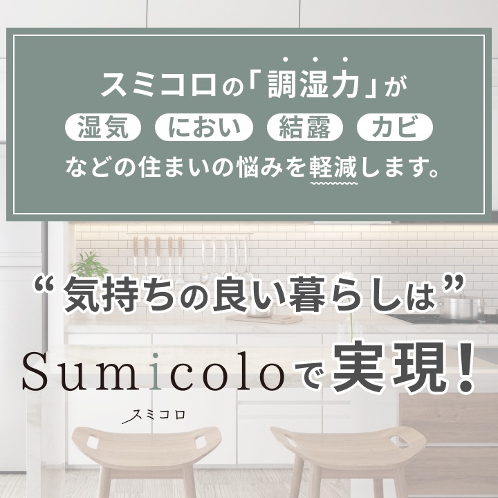 【当店限定】天然調湿木炭 Sumicolo（スミコロ） 1個＜ホワイト・ブラック＞