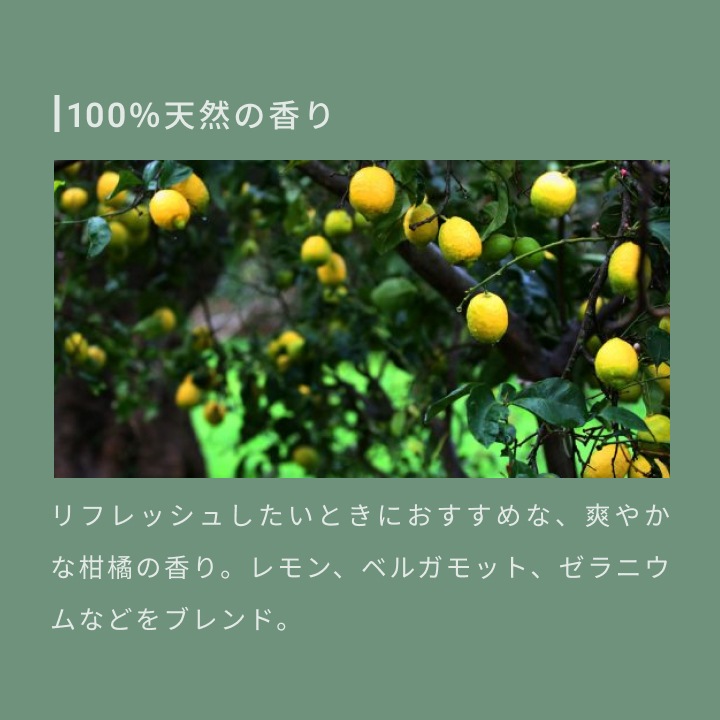 アロマキフィ オーガニックシャンプー&トリートメント モイストシャイン 詰替 400ml 選べる3個セット