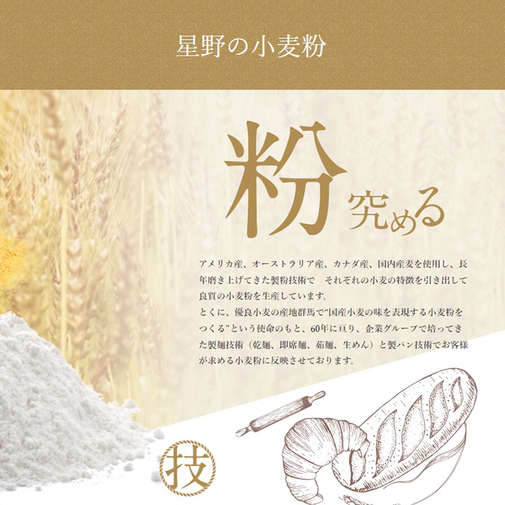 星野物産 ひもかわうどん 200g 10袋セット