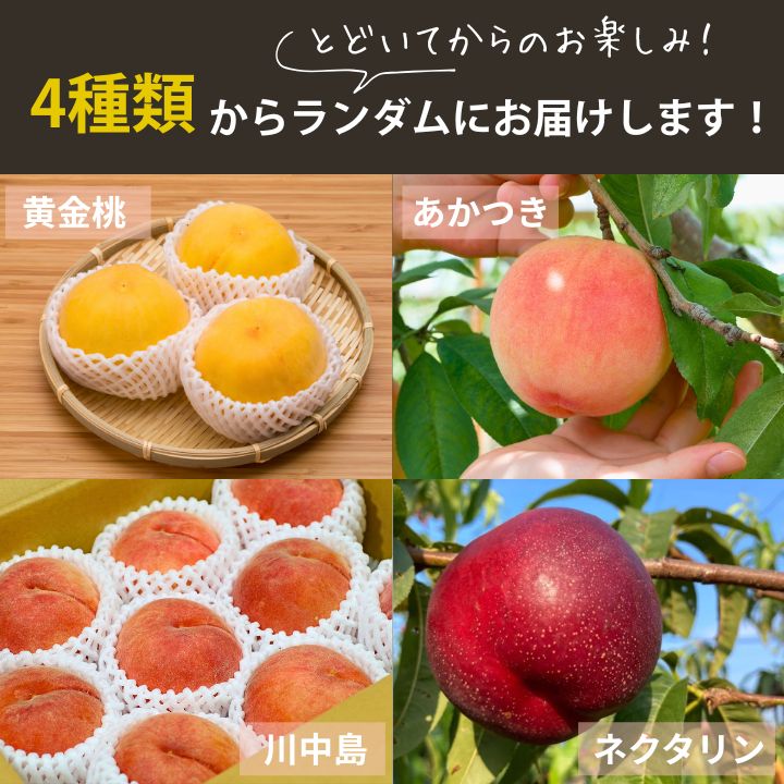 【季節数量限定】クノップ もりしたさん家の桃 25g 3袋セット