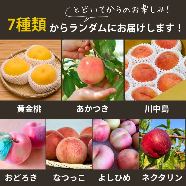 【季節数量限定】クノップ もりしたさん家の桃 25g 5袋セット