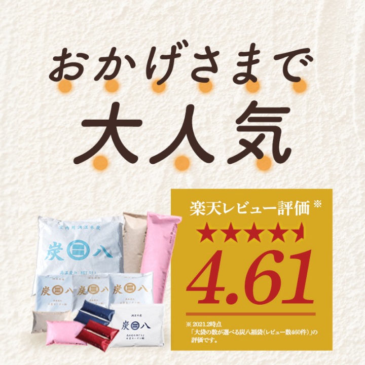 【当店オリジナル】小袋炭八用 クローゼットホルダー 1枚（ホワイト/ブラック）