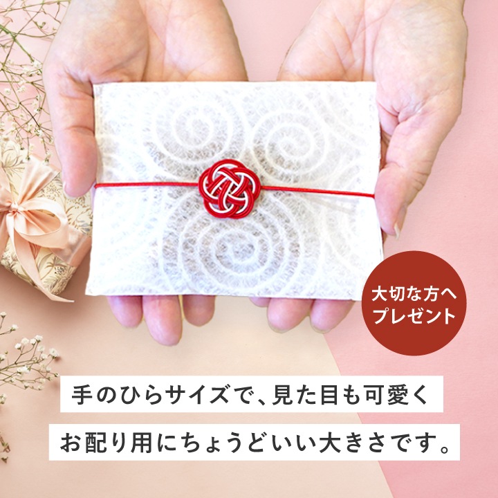 10袋まとめ買い クノップ 3種類から中味を選べるプチギフト ナッツ ドライフルーツ