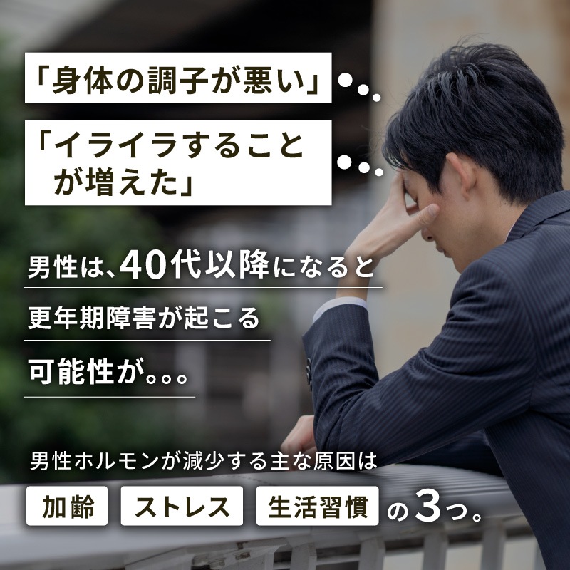 クノップ 無塩タイプ ミックスナッツ 70g 1袋