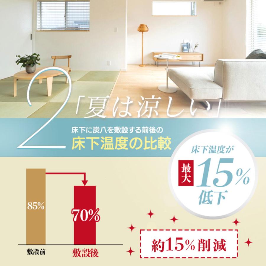 炭八 床下用×1袋