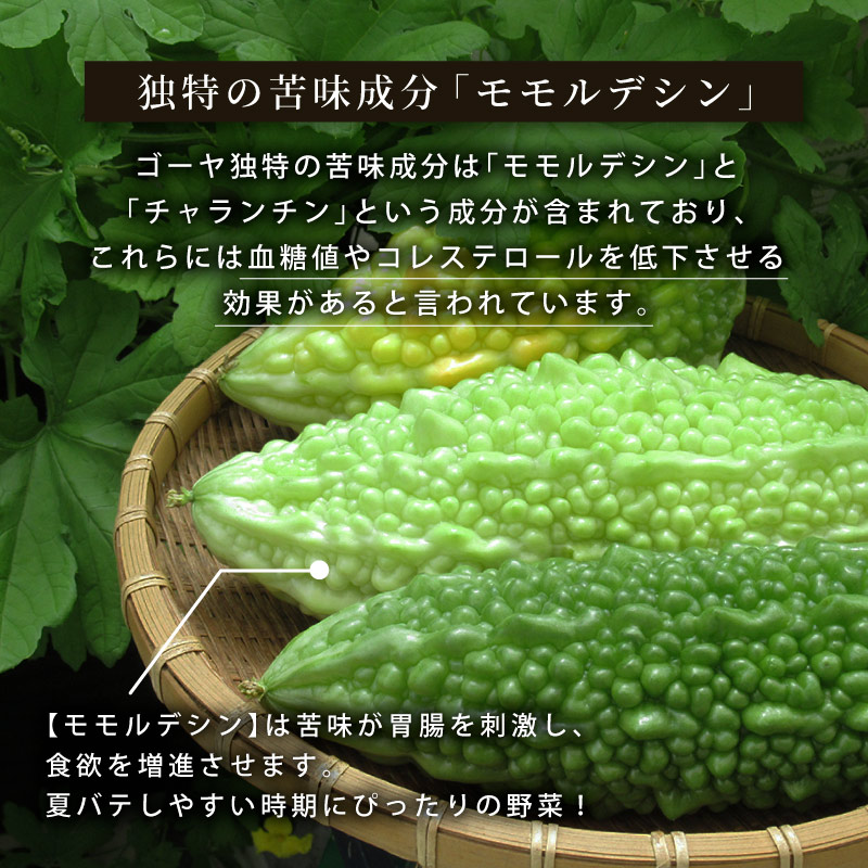 クノップ ゴーヤチップス 60g 1袋