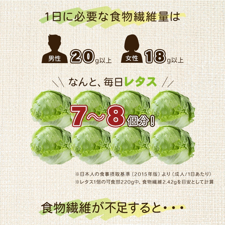 【合計4箱】難消化性デキストリン＜なんできコラーゲンα・なんでき酵素＞ 1箱 180g（6g×30包入）×3+1箱おまけ付きセット