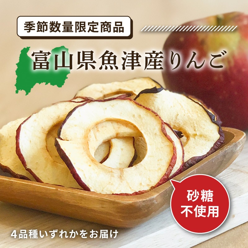 【季節限定】富山県魚津産りんご 20g 単品 ドライフルーツ