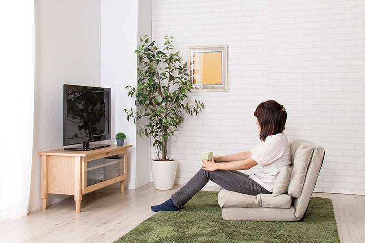 東谷 エリス 3WAYソファベッド クッション付き【メーカー直送】