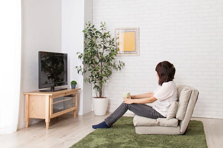 東谷 エリス シングル3WAYソファベッド クッション付き【メーカー直送】