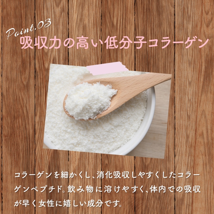 【アウトレット半額】ソイプロテイン 黒糖きな粉 300g【賞味期限:2025年12月17日】
