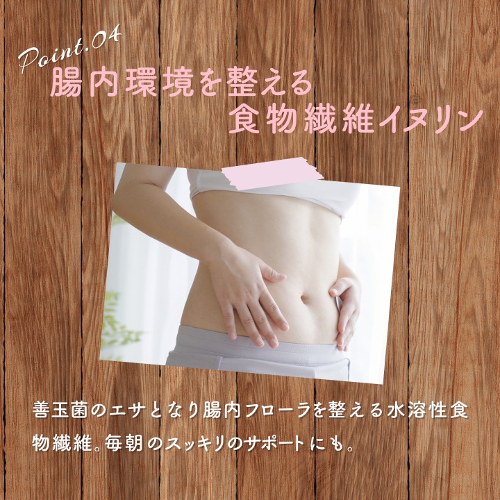 【アウトレット半額】ソイプロテイン 黒糖きな粉 300g【賞味期限:2025年12月17日】